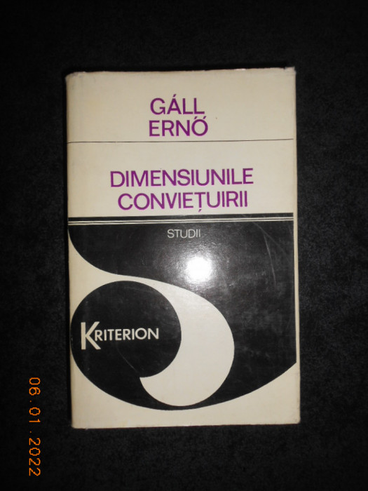 Gall Erno - Dimensiunile conviețuirii. Studii despre națiune și naționalitate