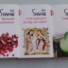 Elif Shafak - Bastarda Istanbulului. Lapte negru. Cele 40 de legi ale iubirii
