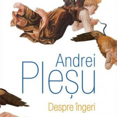 Despre ingeri – Andrei Plesu