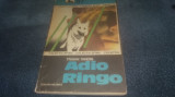 TRAIAN TANDIN - ADIO RINGO