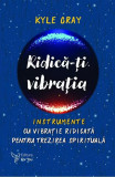Cumpara ieftin Ridica-Ti Vibratia,Kyle Gray - Editura For You