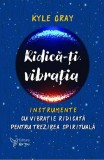 Cumpara ieftin Ridica-Ti Vibratia, Kyle Gray - Editura For You. Dezvoltare personala, energie spirituala, conexiune divina, vibratii inalte.