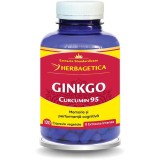 Ginkgo Curcumin 95 120cps