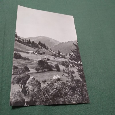 CARTE POSTALA CIRCULATA PEISAJ DE PE VALEA BISTRITEI foto