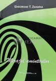 Cumpara ieftin Mirajul amintirilor - 2015 - Gheorghe T. Zaharia (P123)