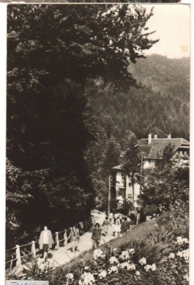CPIB 22158 - CARTE POSTALA - TUSNAD foto