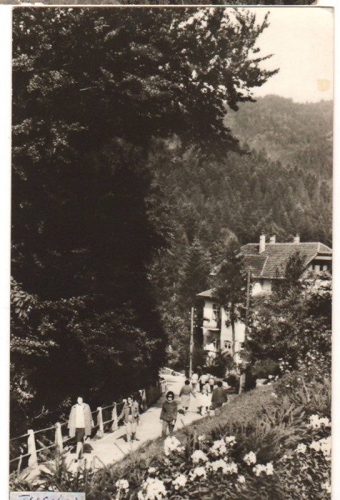 CPIB 22158 - CARTE POSTALA - TUSNAD