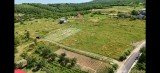Teren Tomesti-Goruni