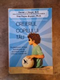 Creierul copilului tău