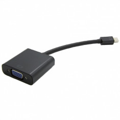 Adaptor Mini Displayport la VGA T-M, Value 12.99.3125