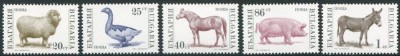 BULGARIA 1991 FAUNA PASARI SI ANIMALE DOMESTICE foto