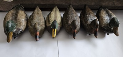 ATRAPA , ATRAPE 6 RATE . MADE IN ITALY . foto