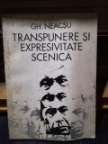 Transpunere si expresivitate scenica - Gh. Neacsu