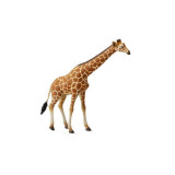 Girafa XL - Animal figurina, Collecta