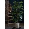 Emerald Monstera artificială pe st&acirc;lp, 150 cm 423628