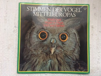 stimmen der vogel mitteleuropas in haus hof garten 2 LP cantecele pasarilor VG+ foto