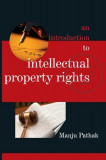 An Introduction to Intellectual Property Rights