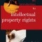 An Introduction to Intellectual Property Rights