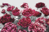 Fototapet XXL4-002 Flori rosii, Komar