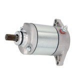 Electromotor Arctic Cat-DVX, Suzuki LT-F, LT-Z 250, 10 dinti