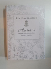 AMINTIRI , FRUMUSETE , GRATIE , ARMONIE , NOBLETE. ADICA TOT CE AM PIERDUT! de ZOE CAMARASESCU 2011 foto