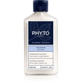 Phyto Douceur Softness Shampoo sampon delicat pentru utilizarea de zi cu zi pentru refacerea scalpului 250 ml
