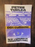 Din Culisele Parlamentului Rom&acirc;niei, vol. I 1990-1992 - Petre Țurlea