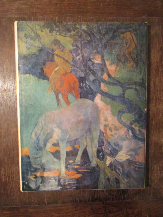 GAUGUIN - Nina Stănculescu-Zamfirescu