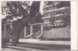 bnk cp Constanta - Blocul SNC - uzata