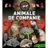 Animale De Companie 3D, - Editura Mimorello