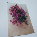 Cumpara ieftin CARTE POSTALA FELICITARE CIRCULATA