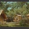 CPIB 19354 CARTE POSTALA - NEPTUN. SATUL DE VACANTA NEPTUN