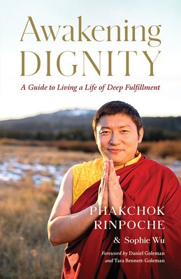 Awakening Dignity: A Guide to Living a Life of Deep Fulfillment foto