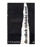 V.P. Borovicka - Din culisele razboiului secret - 103438