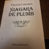 Niagara de plumb Daniela Crasnaru cu autograf pentru Nina Casian