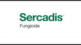 Fungicid Sercadis 1.5 ml, BASF