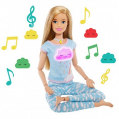 Papusa Barbie mediteaza foto