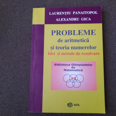 L. Panaitopol - Probleme de aritmetica si teoria numerelor. Idei si metode