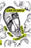 Cum mi-am distrus viata - Dan Stanca - Cartea Romaneasca