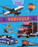Primele cuvinte. Vehicule - Flamingo GD