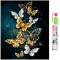 Set de broderie cu diamante 5D, model Fluturi, 30x40 cm, accesorii incluse, multicolor