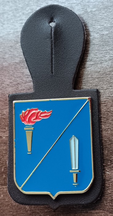 QW8 21 - Insigna - tematica militara - faclie si spada - suport de piele