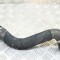 Furtun radiator răcire st&acirc;nga BMW 6 E63 2007 OEM: 7836569 | 13504149