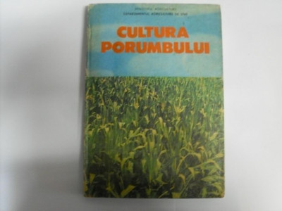 Cultura Porumbului - Florea Gruia ,551412 foto