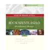 B&uacute;cs&uacute;szentl&aacute;szl&oacute; - Muzulm&aacute;nok M&aacute;ri&aacute;ja - N&eacute;meth Mikl&oacute;s Attila