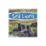 Sea Lions Educational Facts Children&#039;s Animal Book