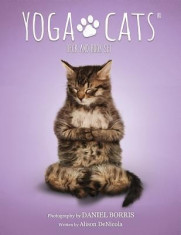 Yoga Cats Deck &amp;amp; Book Set foto