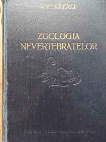 Zoologia Nevertebratelor - V. F. Natali ,520984 Zoologia Nevertebratelor - V. F. Natali ,520984