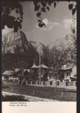 CPIB 22537 - CARTE POSTAL - POIANA TAPULUI. VEDERE SPRE BUSTENI, RPR NECIRCULATA