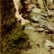 YIMR01845 romania bacau slanic moldova statiune cascada rau peisaj montan 1915